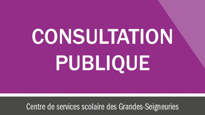 CSSDGS-Consultation_publique_actu
